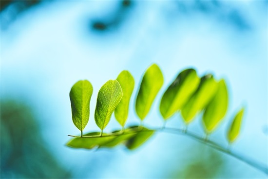 高中毕业祝福语10字96句